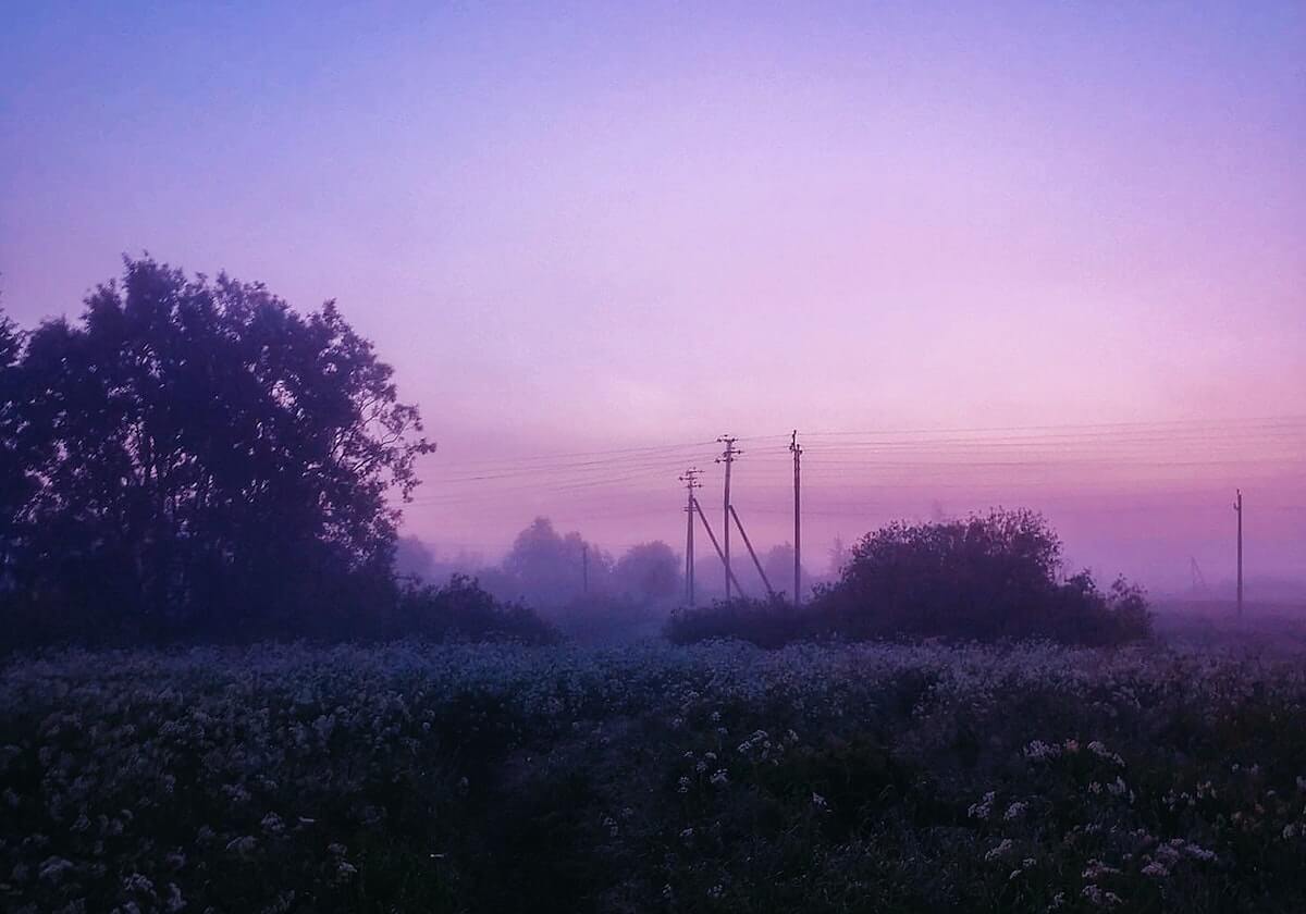 开云体育下载-站在冈萨加遥望NBA 八村垒是曾凡博的最佳榜样